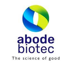 Screenshot 2025-09-19 142526