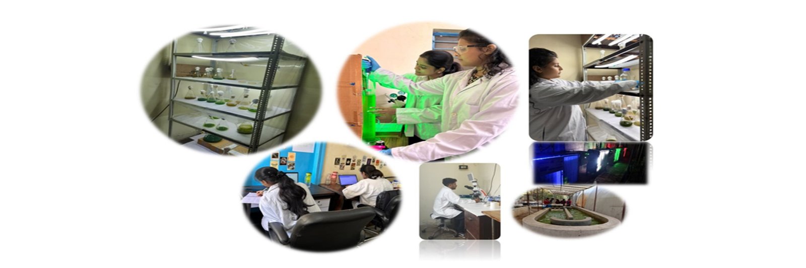 IBIOREF hero image 1